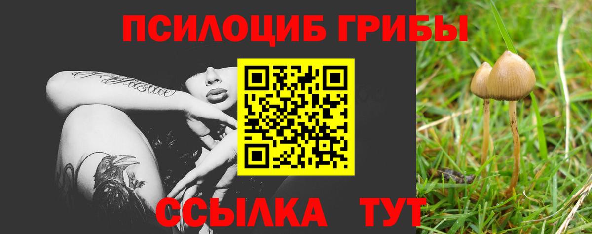 Галлюциногенные грибы мухоморы  закладки  Гудермес  Вход с VPN 